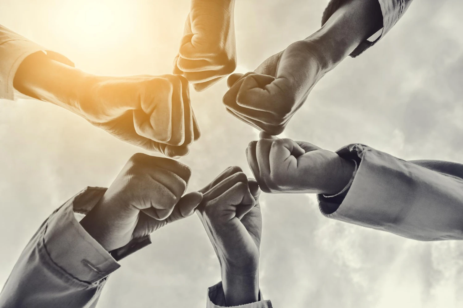 How Team Dynamics Shape Every Workplace